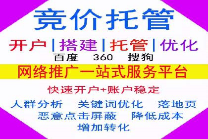 SEM服务公司助力电商增长案例