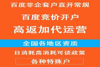 信息流广告投放策略：实战案例与效果评估